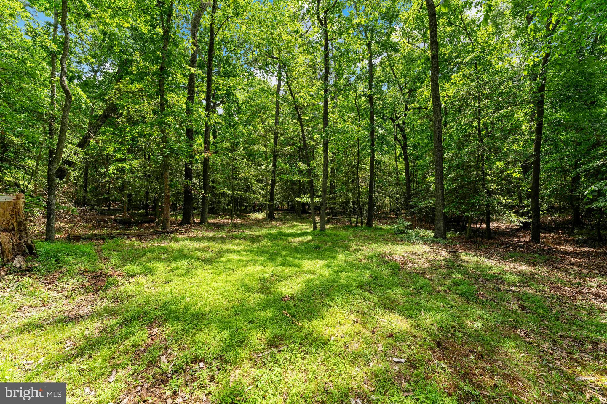 Mcdaniel Road Waldorf, MD 20603 - Photo 18 of 24