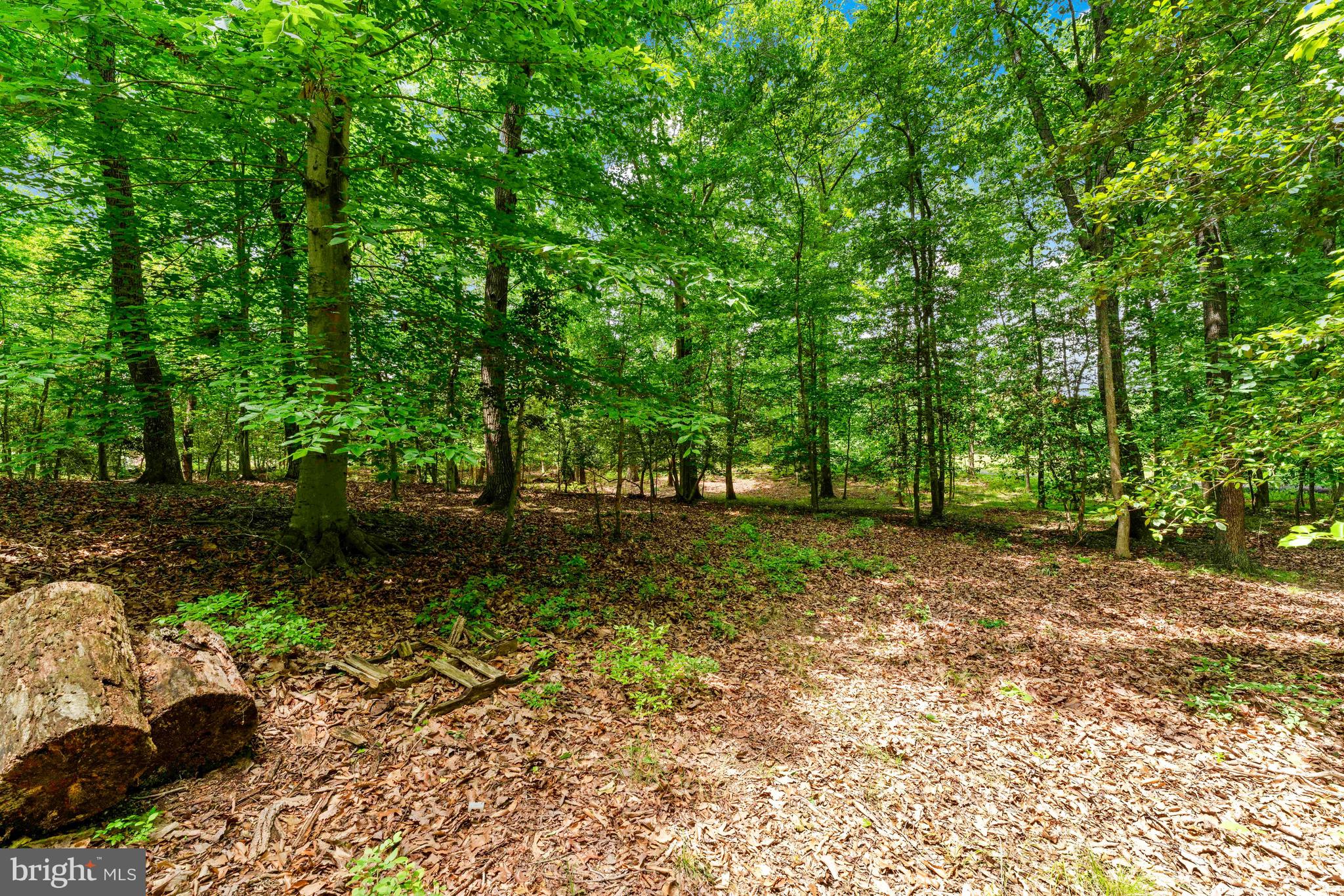 Mcdaniel Road Waldorf, MD 20603 - Photo 19 of 24