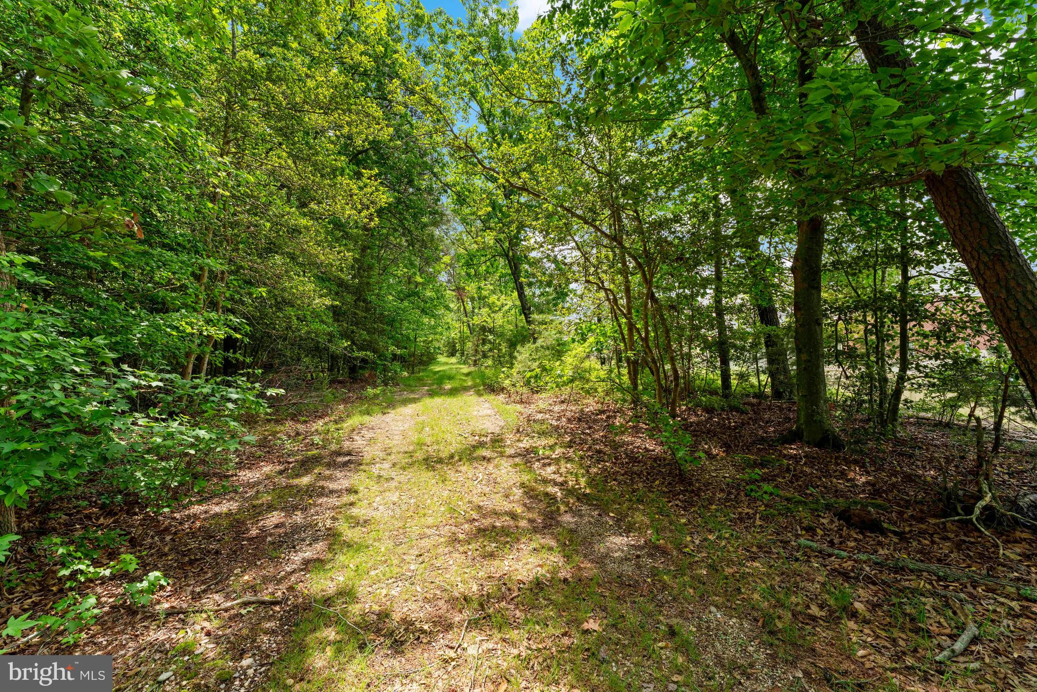 Mcdaniel Road Waldorf, MD 20603 - Photo 20 of 24