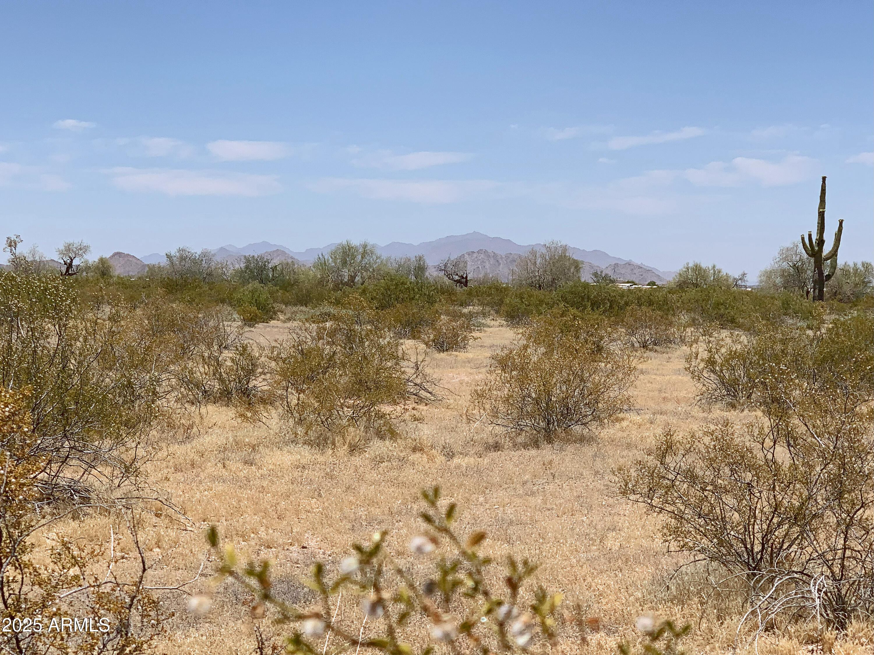 3 West Whirly Bird Road Maricopa, AZ 85139 - Photo 7 of 14 Living the Country Life!