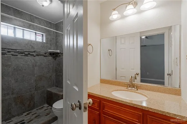 a bathroom with a granite countertop sink toilet and shower