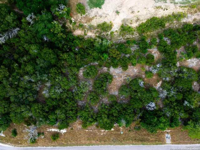 a view of a bunch of trees