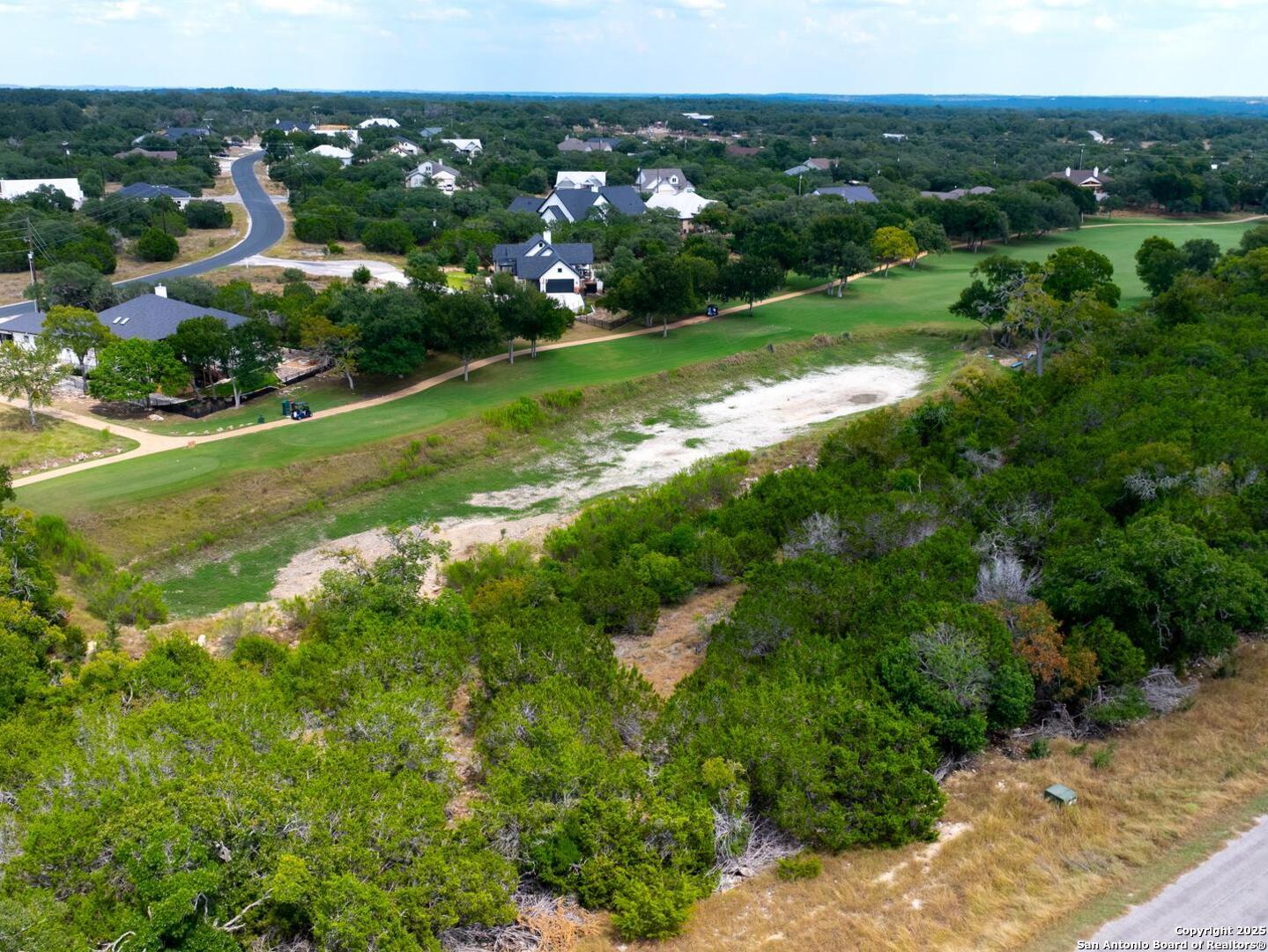 115 Levi English Blanco, TX 78606 - Photo 2 of 6 a view of a city with lush green forest