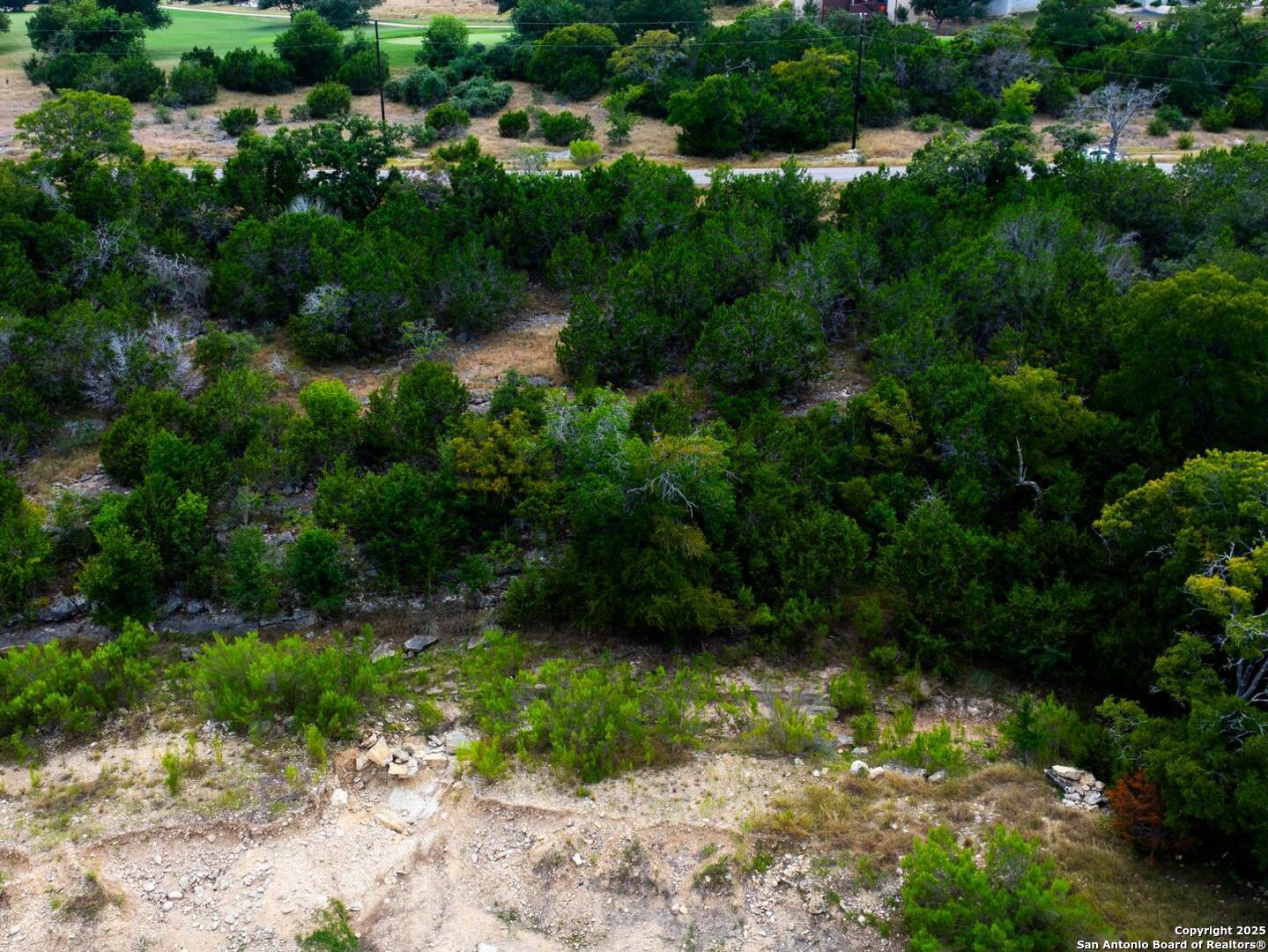 115 Levi English Blanco, TX 78606 - Photo 4 of 6 a view of outdoor space and yard