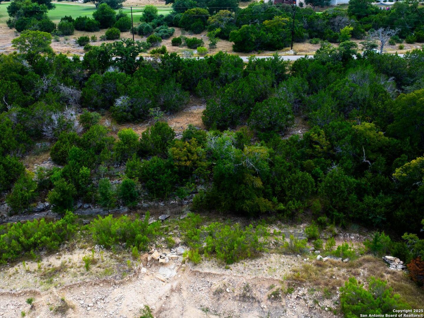 115 Levi English Blanco, TX 78606 - Photo 5 of 6 a view of outdoor space and yard