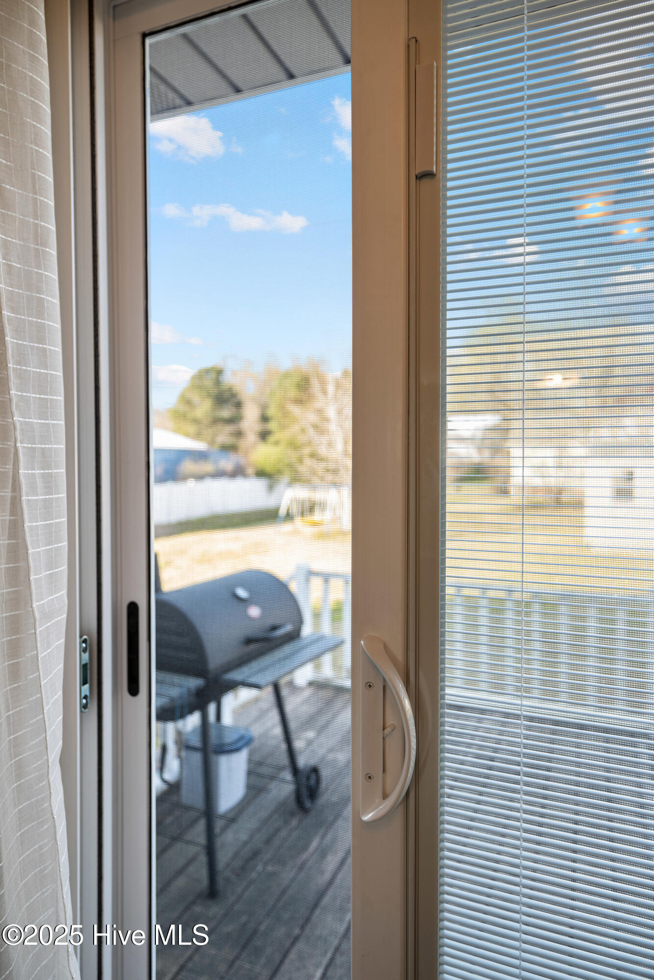 105 Olive Lane Mount Olive, NC 28365 - Photo 14 of 31 Brand new built in blind sliding glass doors