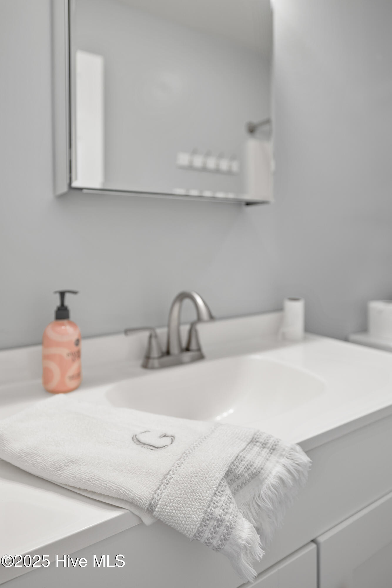 105 Olive Lane Mount Olive, NC 28365 - Photo 24 of 31 Bath 2