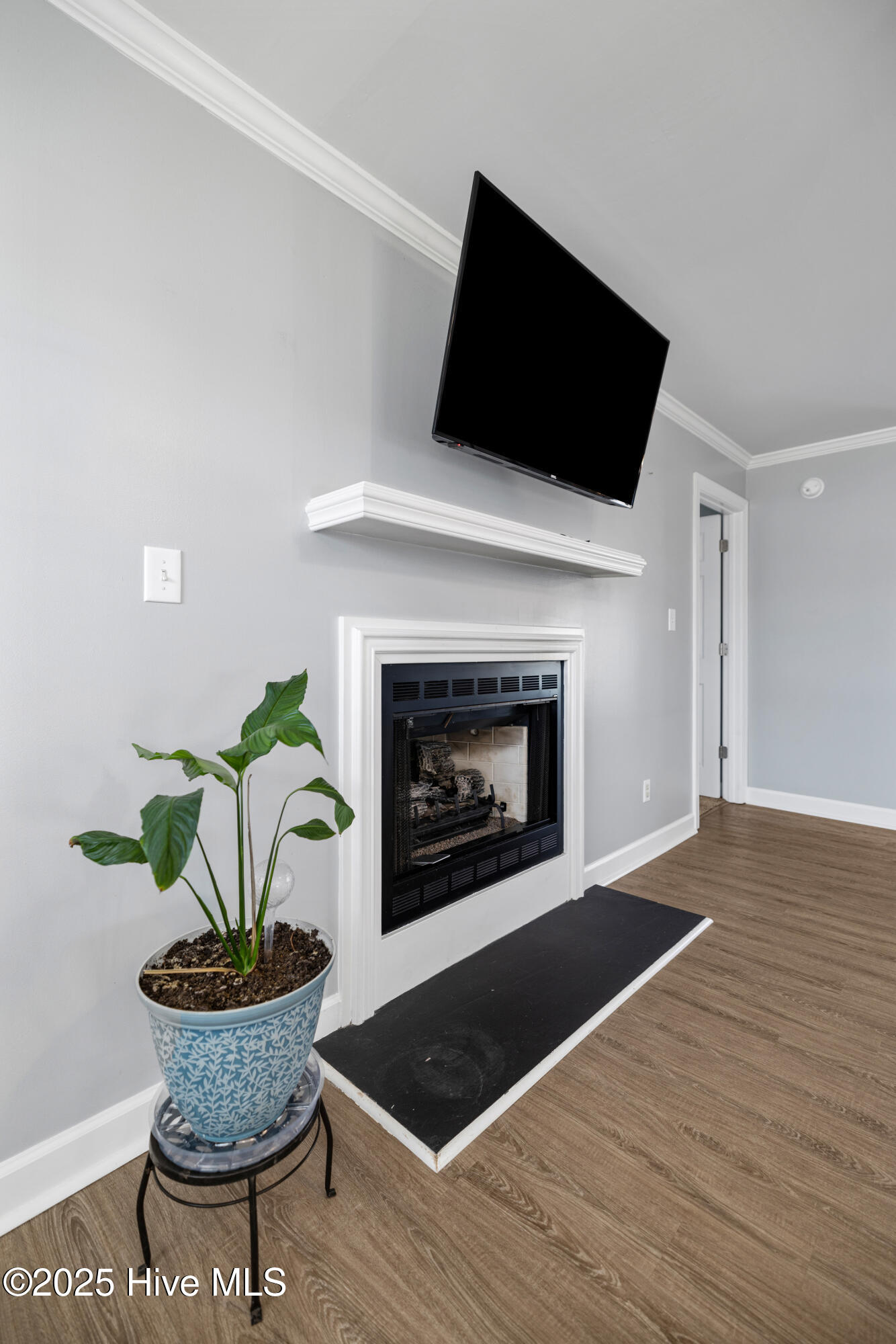 105 Olive Lane Mount Olive, NC 28365 - Photo 6 of 31 Gas fireplace