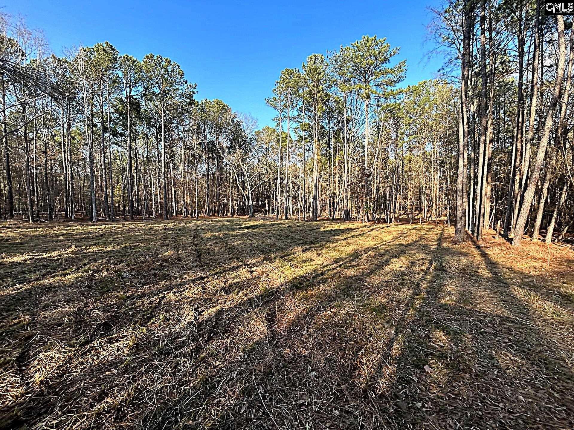 0 Circle H Woods Road Prosperity, SC 29127 - Photo 5 of 21