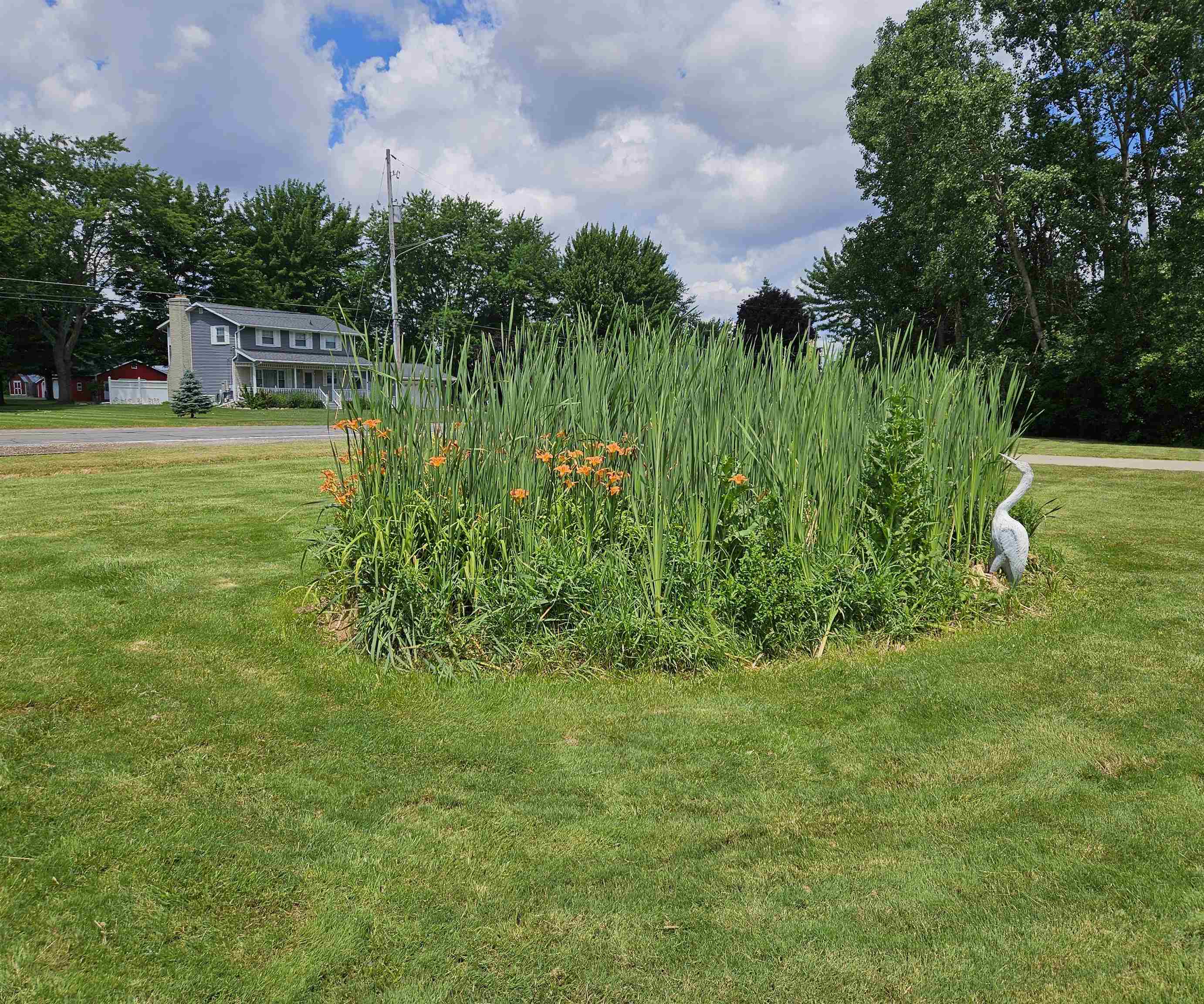 4335 South Genesee Road Grand Blanc, MI 48439 - Photo 41 of 47 50146604-6d54b6c2-c96f-4ac8-ac00-65eb70e50962.JPG