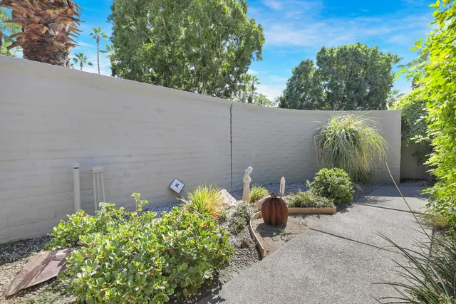 a backyard with potted plants and tree