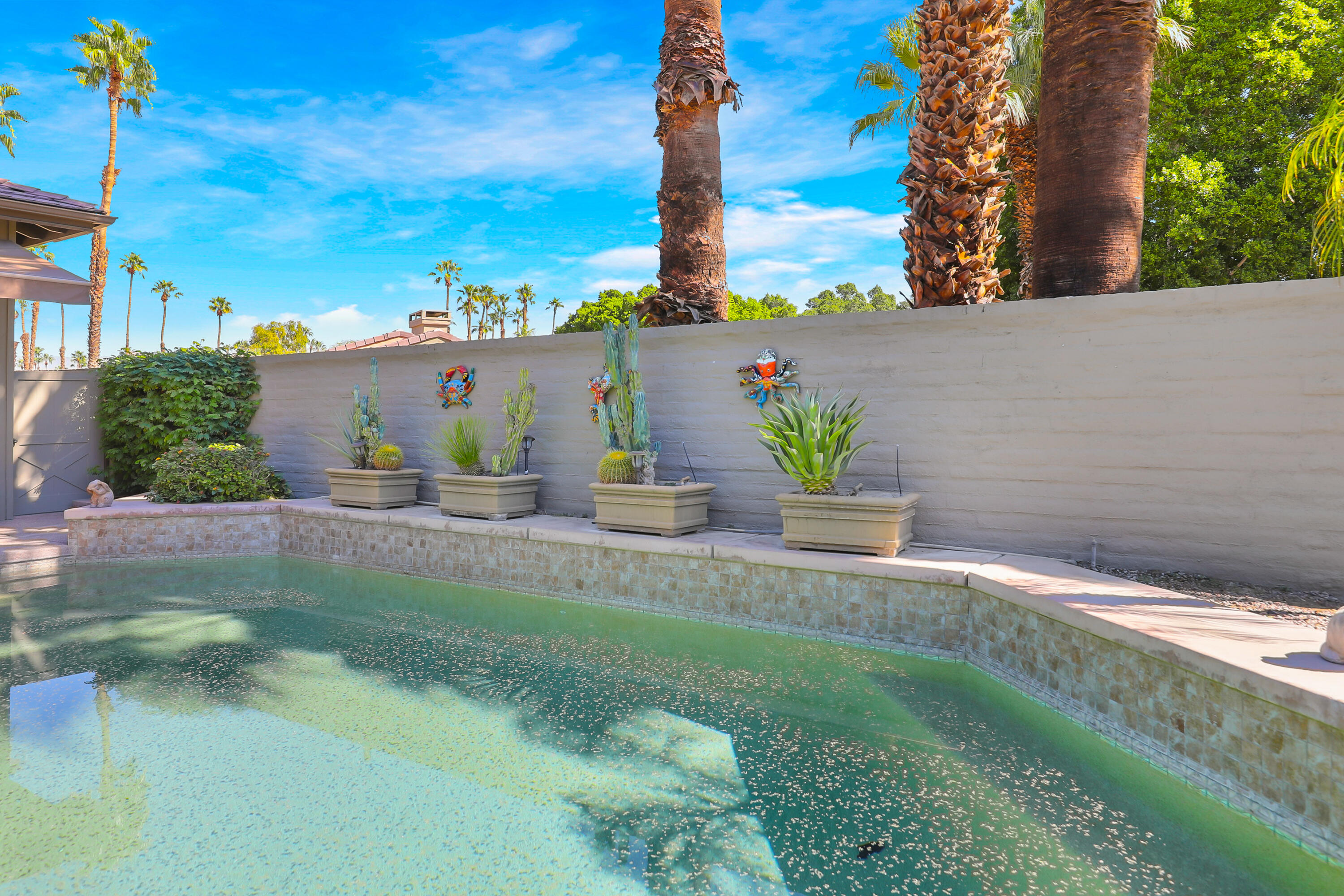 406 Red River Road Palm Desert, CA 92211 - Photo 36 of 47 RedRiver406#5