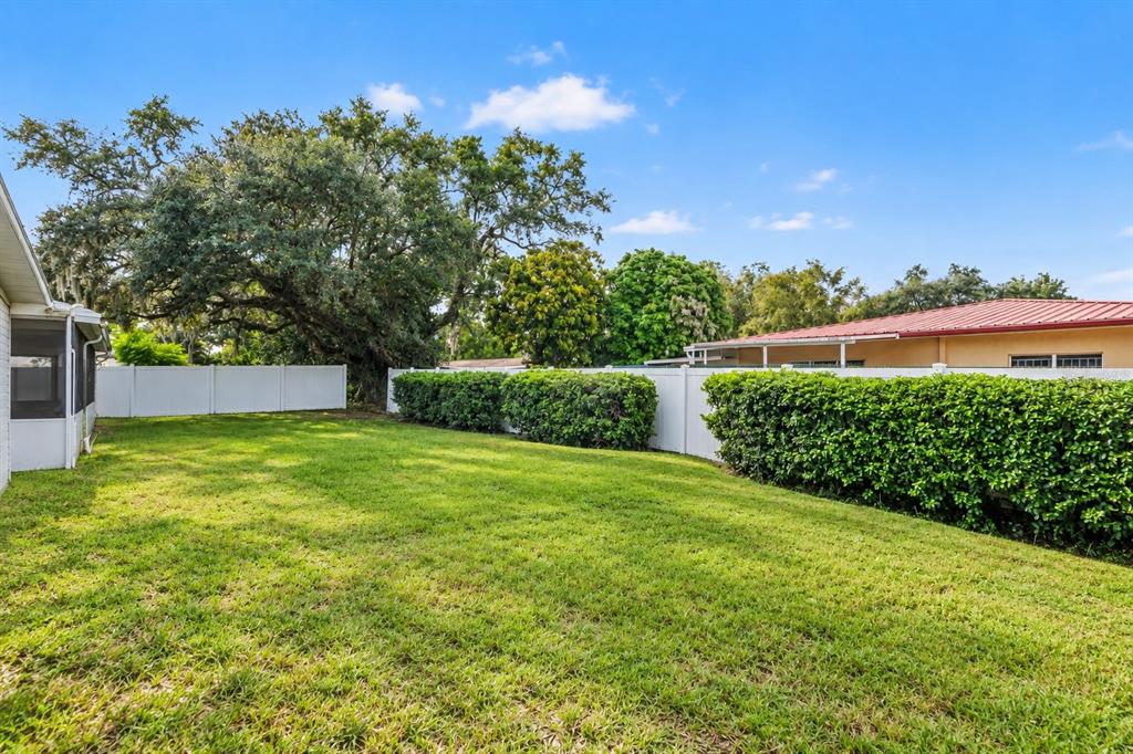 218 Park Ridge Avenue Temple Terrace, FL 33617 - Photo 18 of 19 Gallery Image 18
