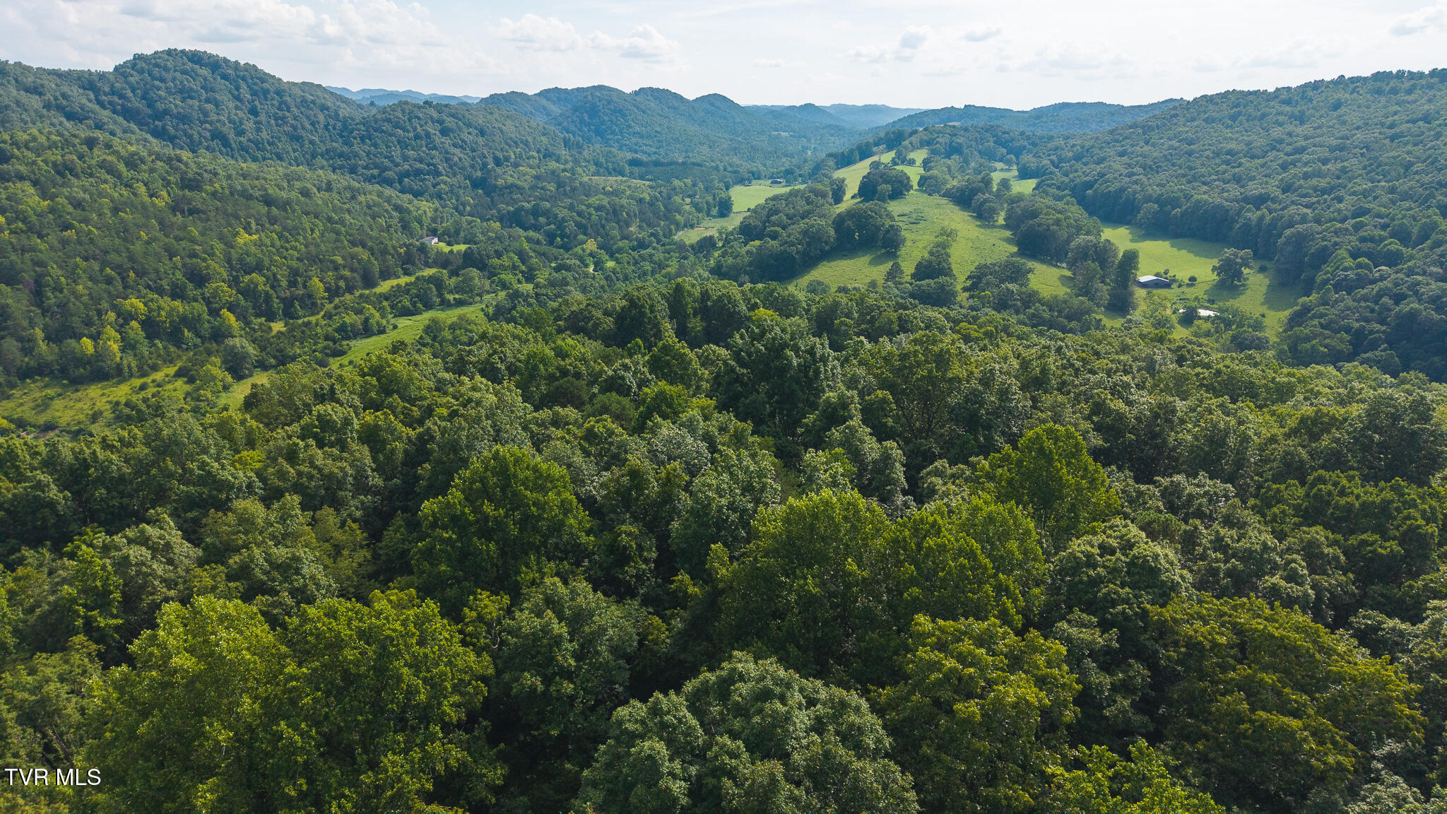0 Gravely Valley Road Eidson, TN 37731 - Photo 15 of 36 DJI_20250716171114_0752_D