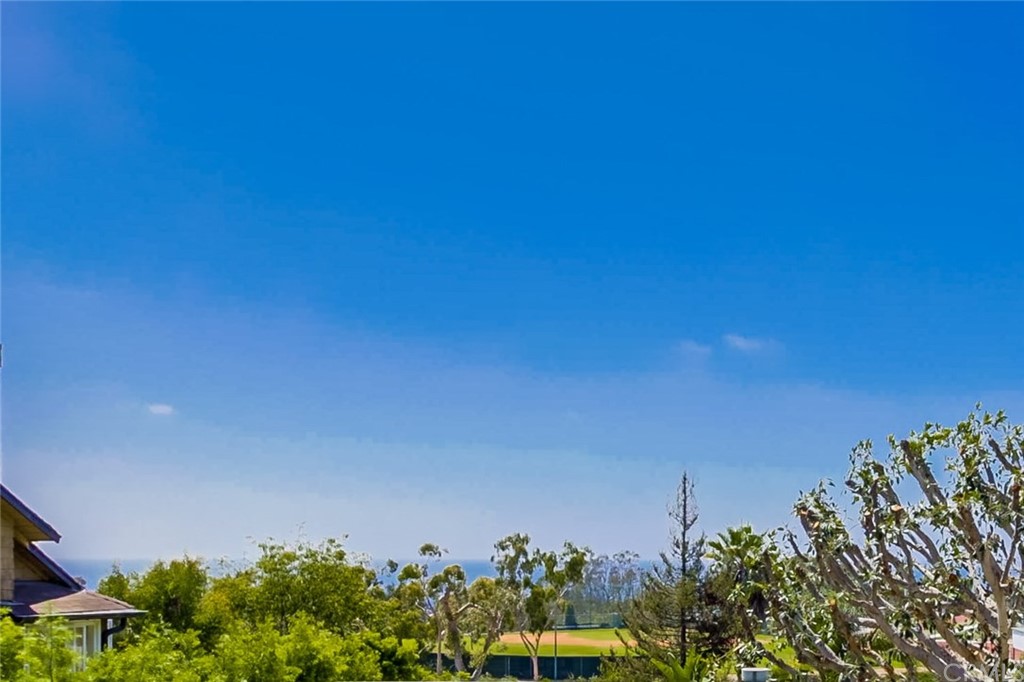 737 Griffith Way Laguna Beach, CA 92651 - Photo 32 of 38