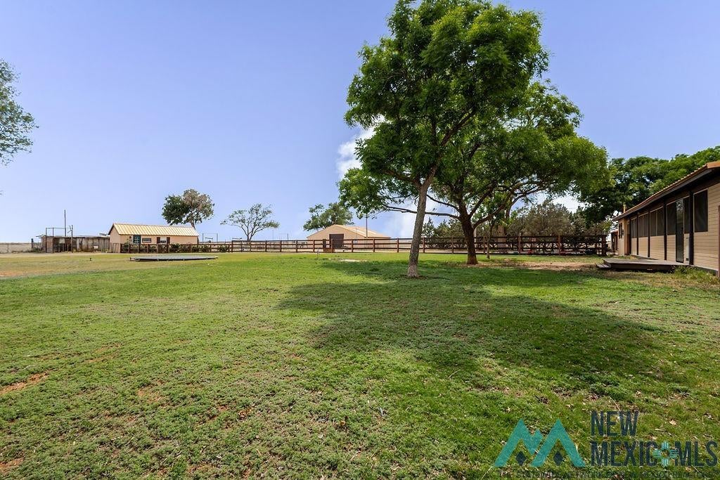1131 Curry Road North Clovis, NM 88101 - Photo 49 of 69 Expansive grassy area with mature trees