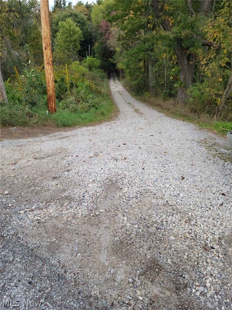 2545 Meloy Road Kent, OH 44240 - Photo 28 of 30 No signage. Drive into woods north side of curve.