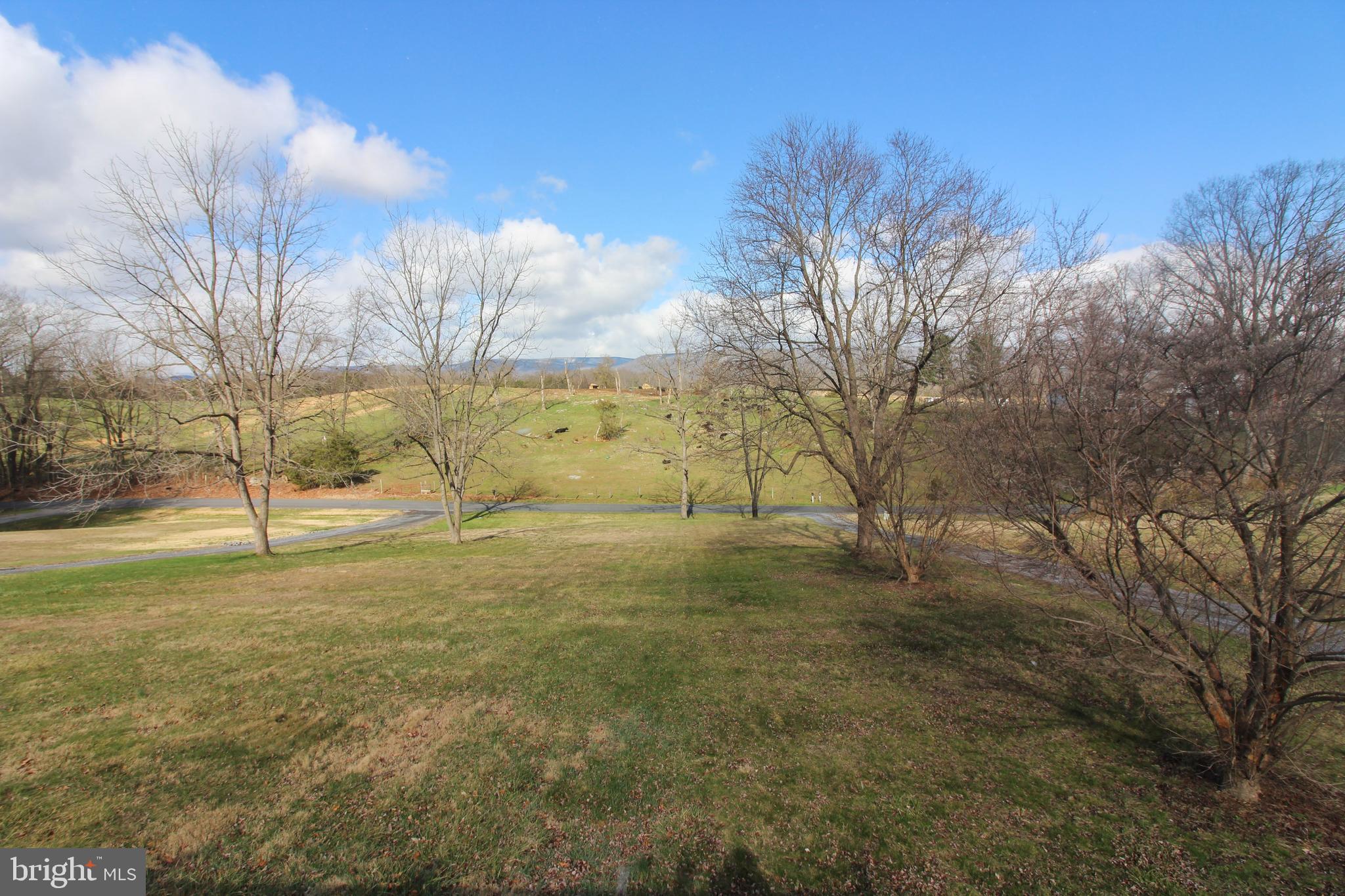2212 Swartz Road Woodstock, VA 22664 - Photo 7 of 21 a view of a yard with trees