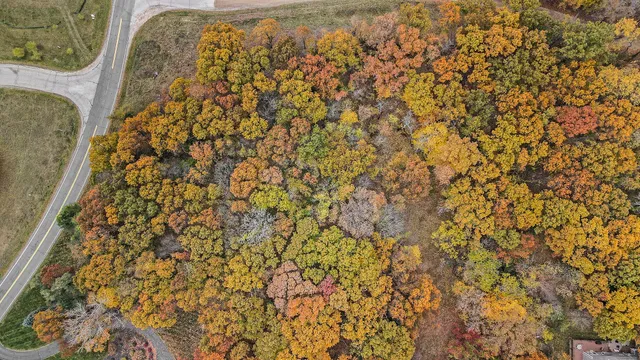 $170,000 | 896 Ridge Road, Chelsea, MI 48118