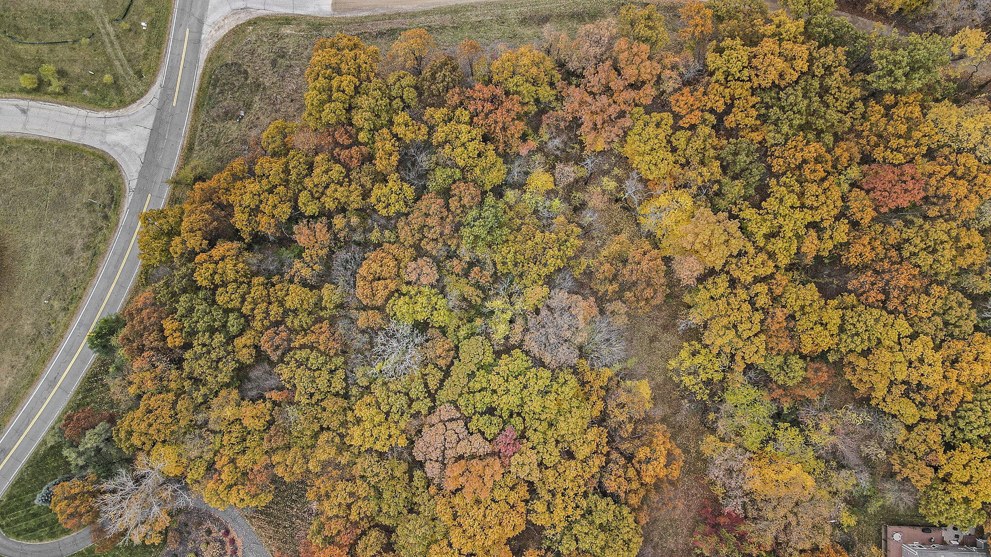 896 Ridge Road Chelsea, MI 48118 - Photo 2 of 11 002_file_647