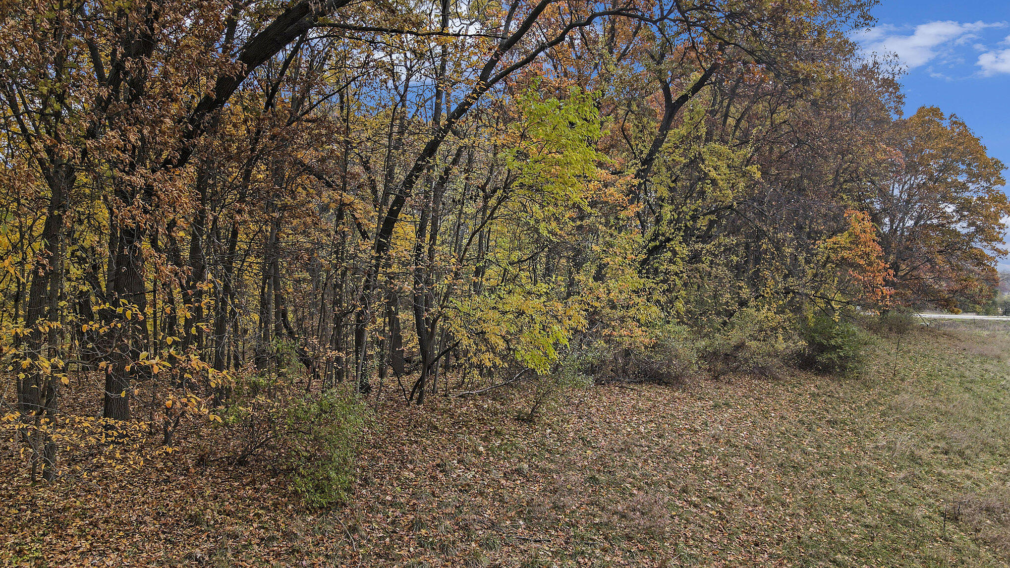 896 Ridge Road Chelsea, MI 48118 - Photo 6 of 11 006_file_970