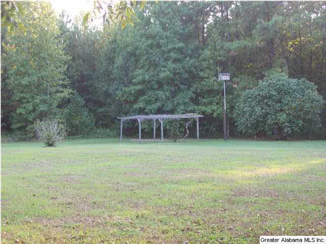 902 County Road 91 Jemison, AL 35085 - Photo 9 of 32