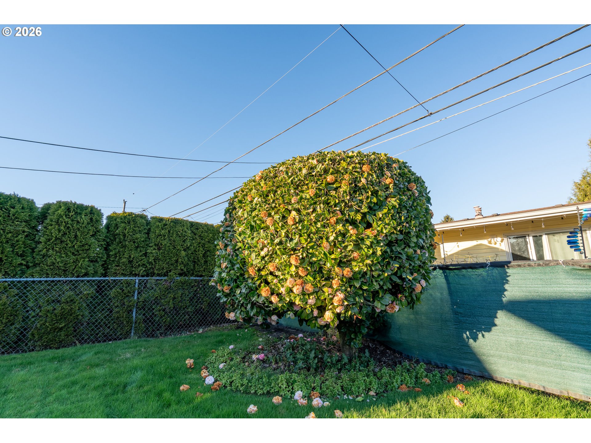 1379 Sallal Road Woodburn, OR 97071 - Photo 6 of 24 a view of a yard