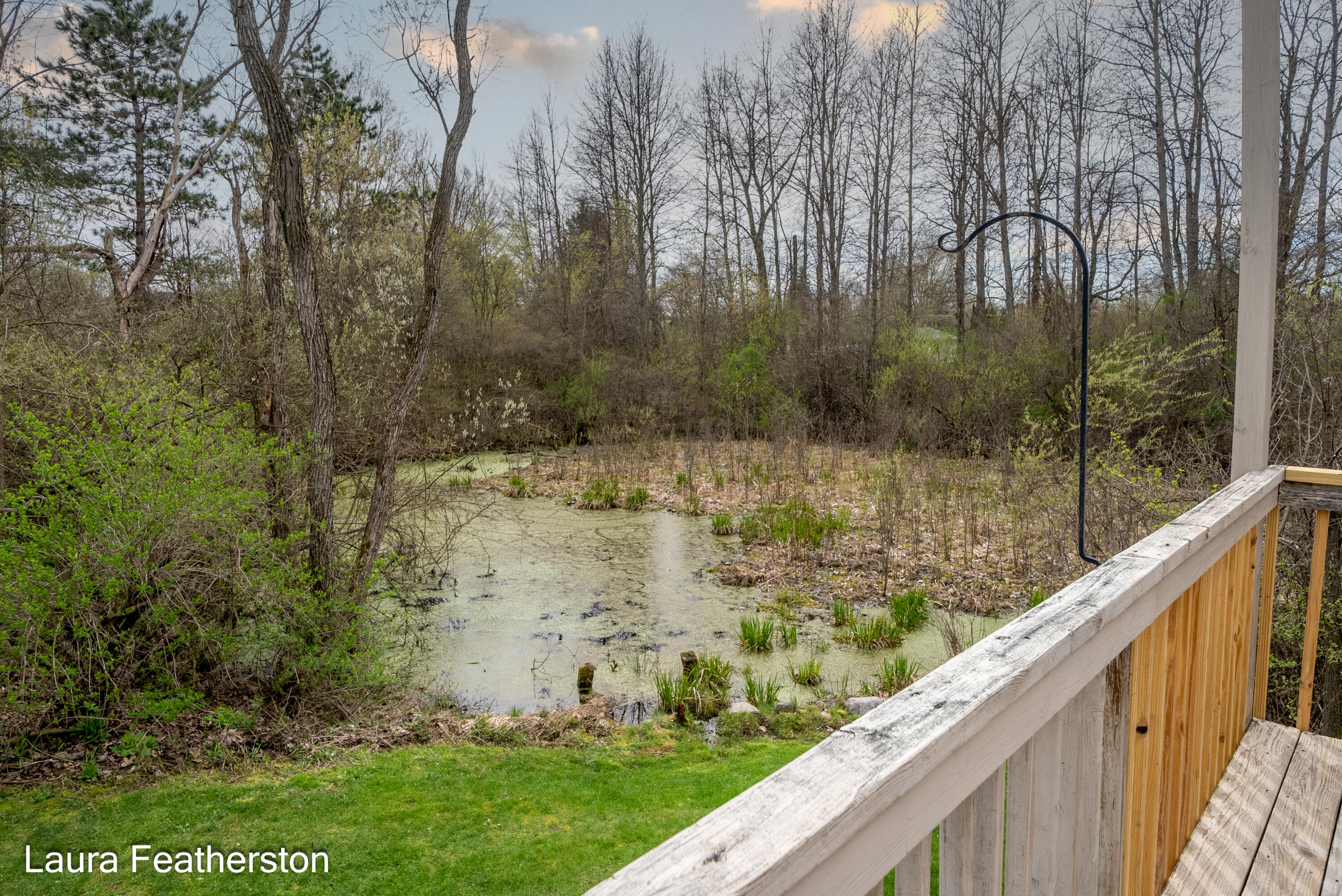 5610 Ritchie Run Cedar Springs, MI 49319 - Photo 29 of 62 Pond view