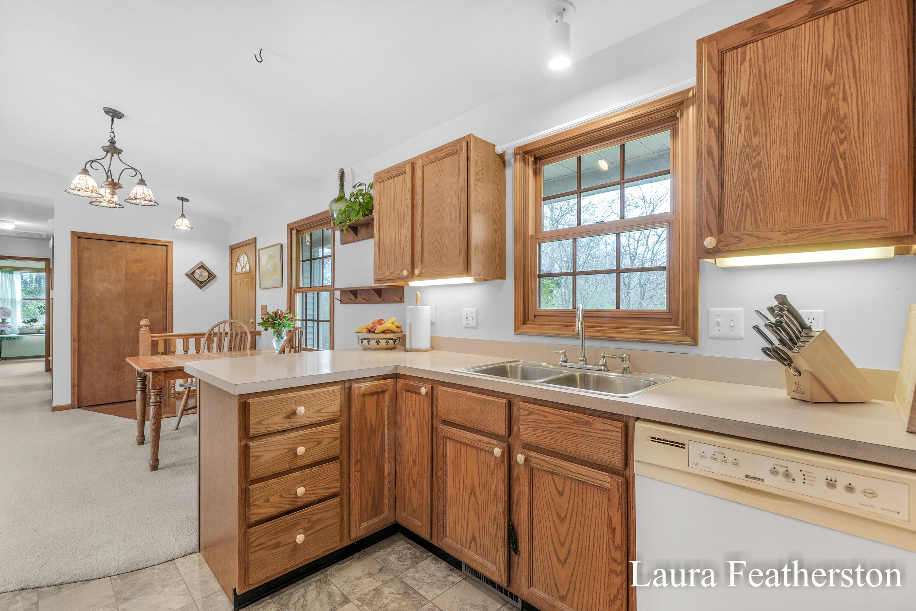5610 Ritchie Run Cedar Springs, MI 49319 - Photo 3 of 62 Kitchen