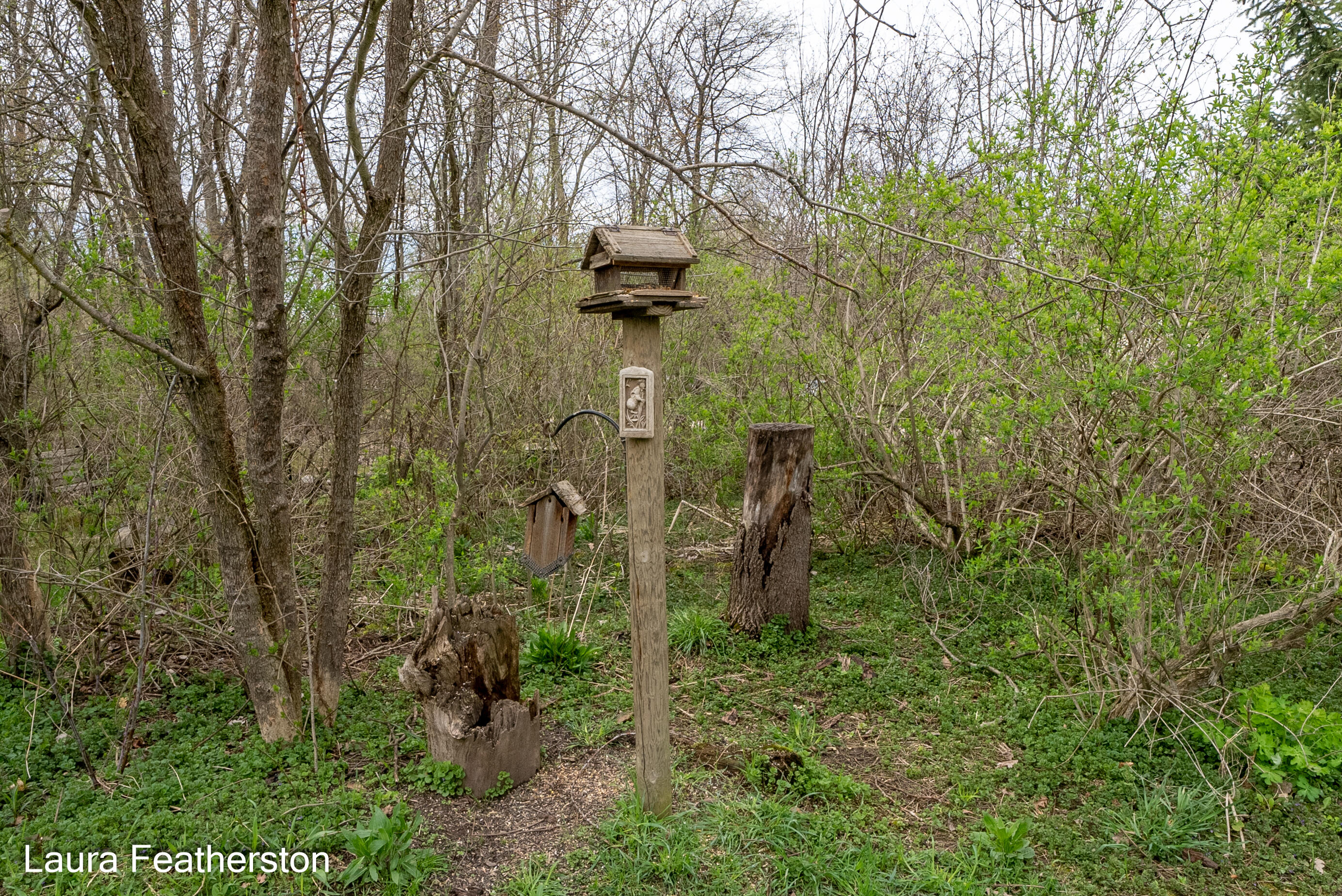 5610 Ritchie Run Cedar Springs, MI 49319 - Photo 32 of 62 Bird feeders