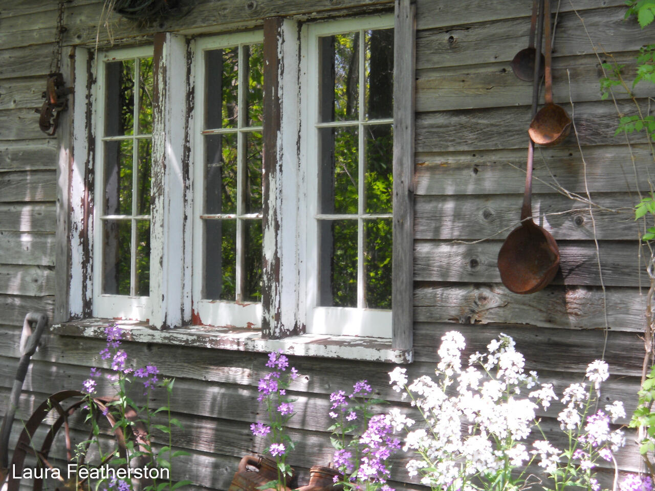 5610 Ritchie Run Cedar Springs, MI 49319 - Photo 38 of 62 Shed 2