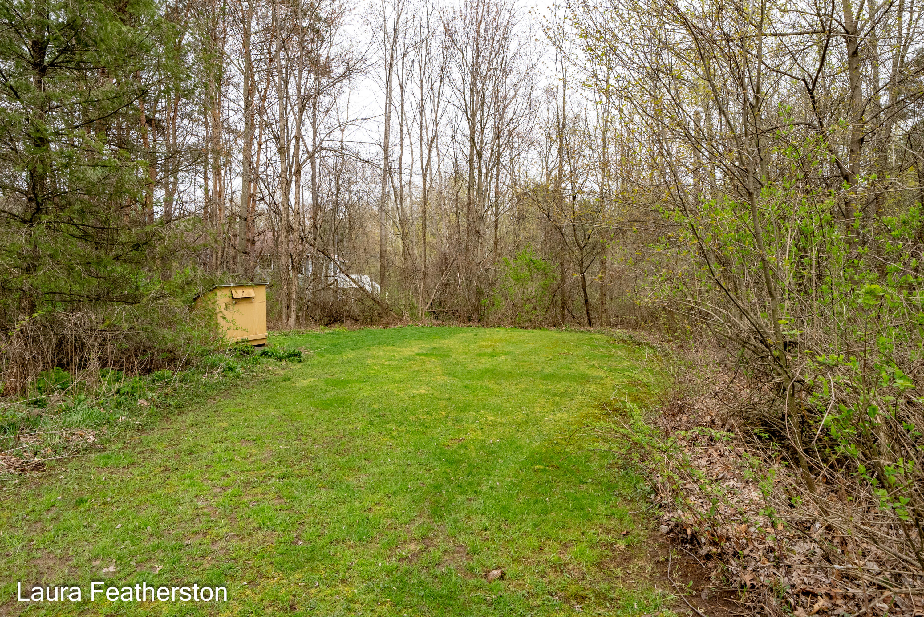 5610 Ritchie Run Cedar Springs, MI 49319 - Photo 45 of 62 Yard/chicken coop