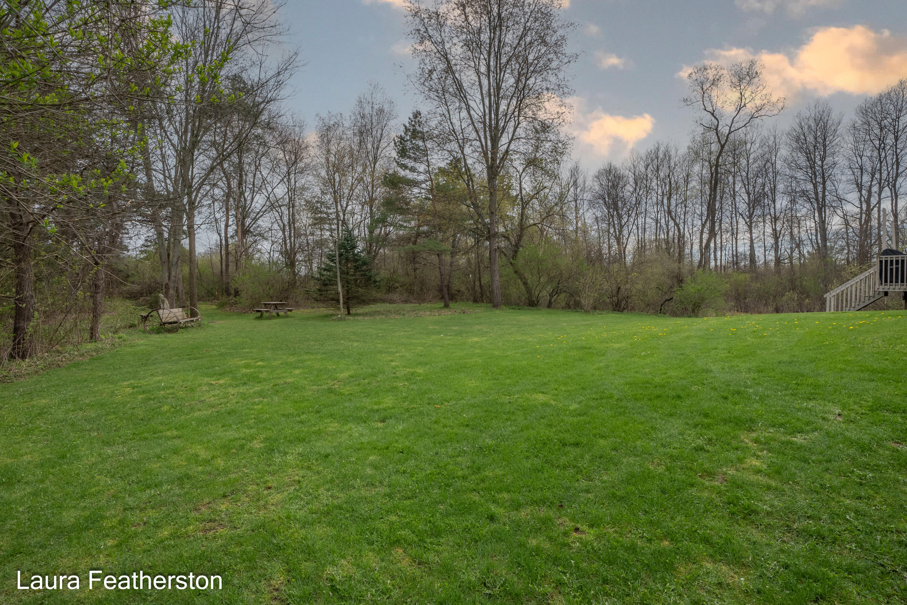 5610 Ritchie Run Cedar Springs, MI 49319 - Photo 46 of 62 Yard