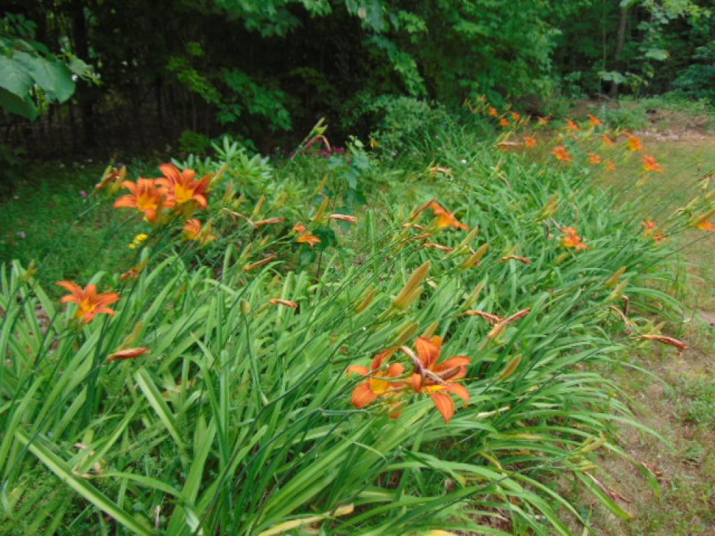 923 Decker Road Georgia, VT 05468 - Photo 27 of 29