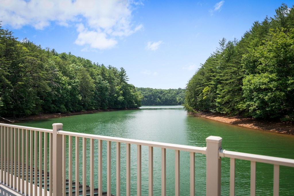 355 Old Camp Loop Morganton, GA 30560 - Photo 2 of 100
