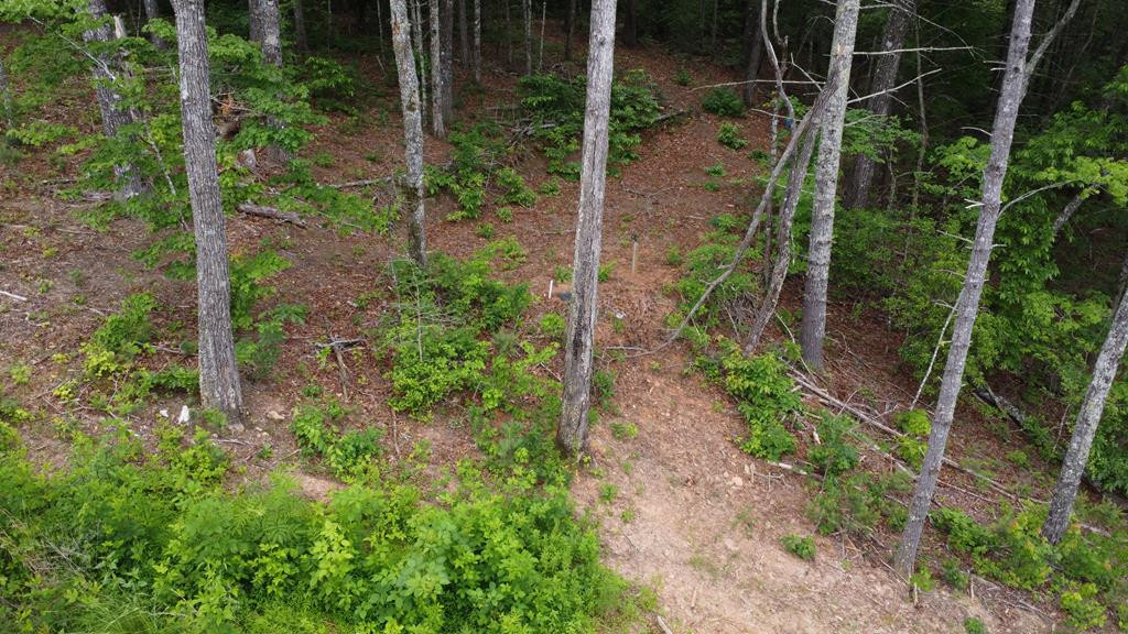 Tbd Martin Road Murphy, NC 28906 - Photo 11 of 50