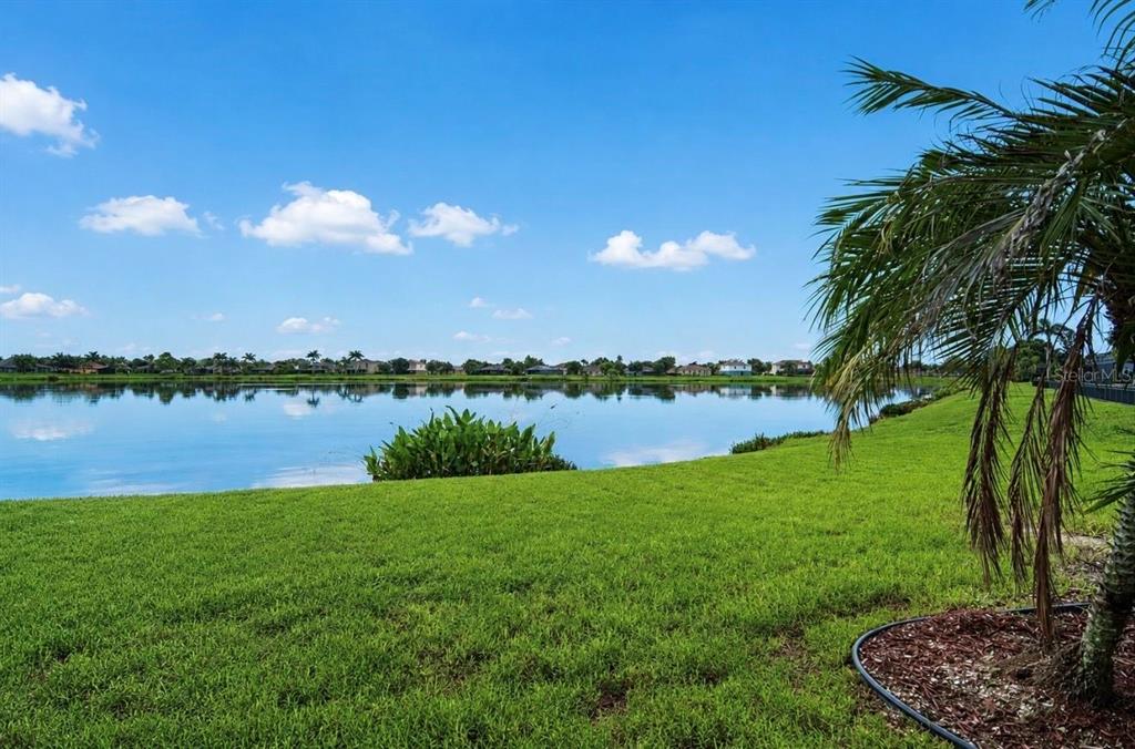 5335 Sandy Shell Drive Apollo Beach, FL 33572 - Photo 2 of 49 Gallery Image 2