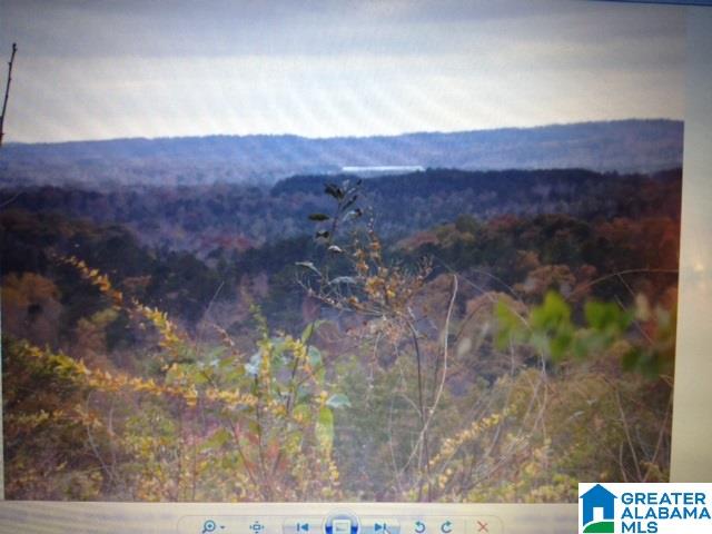13611 Lay Springs Road Gadsden, AL 35904 - Photo 29 of 34