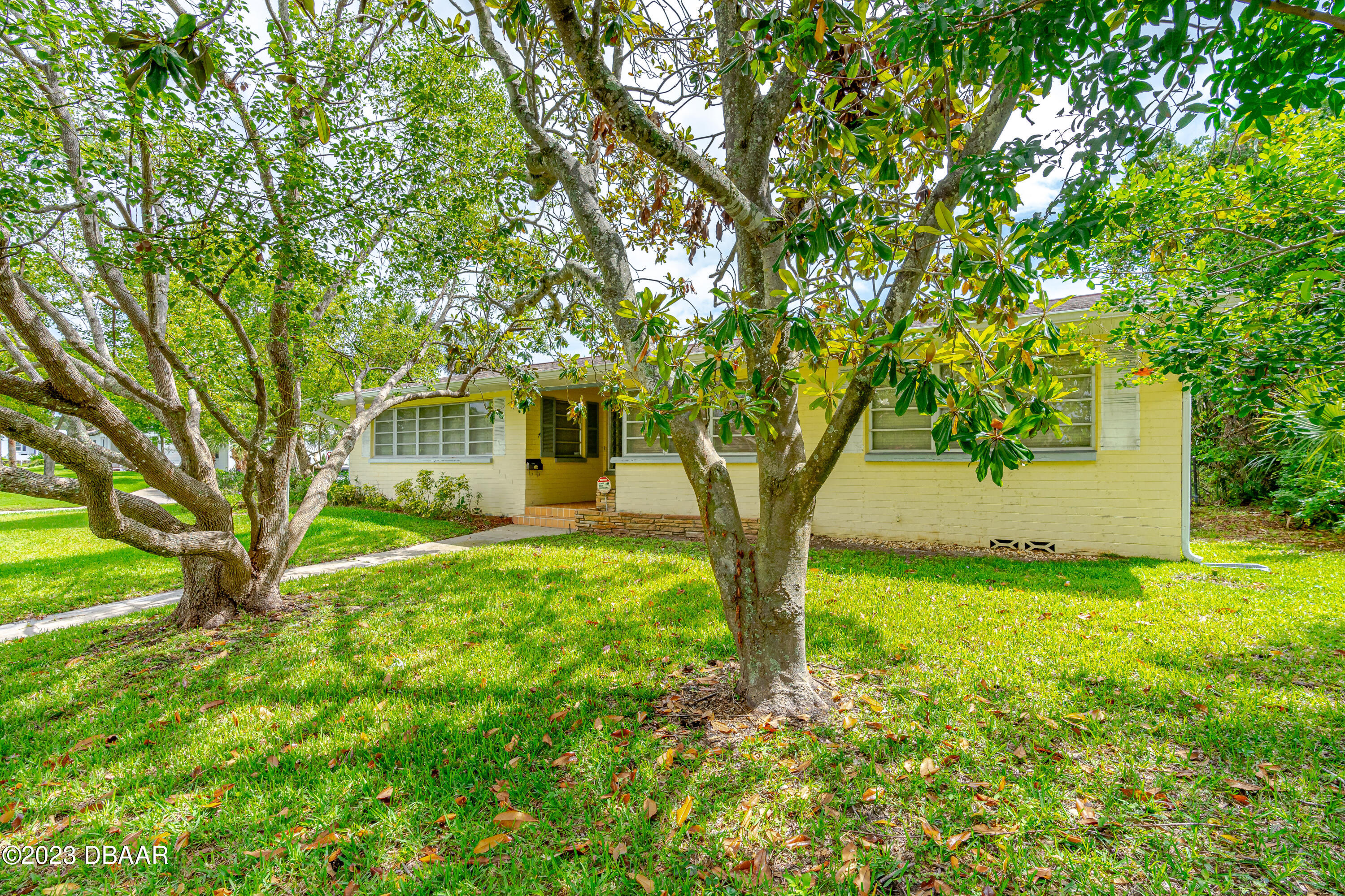 267 South Halifax Drive Ormond Beach, FL 32176 - Photo 2 of 47 a tree in the garden of a house