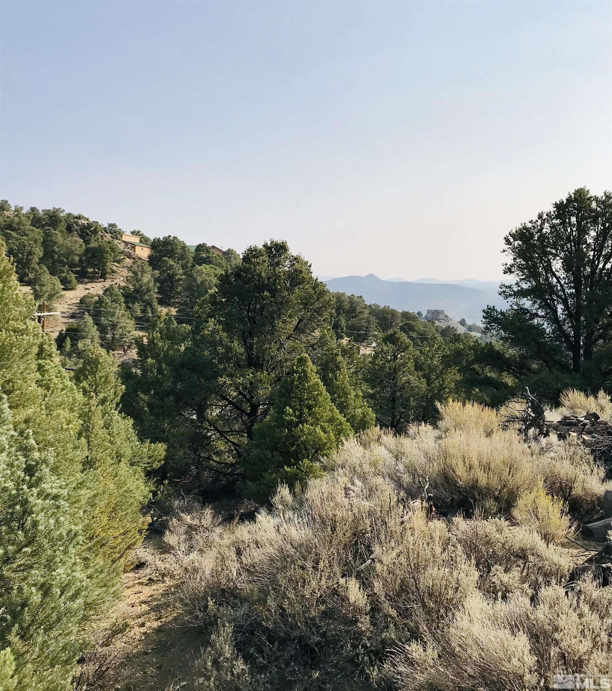 21435 Sazarac Road, Unit 263 Reno, NV 89521 - Photo 1 of 6 a view of a covered with trees in the background