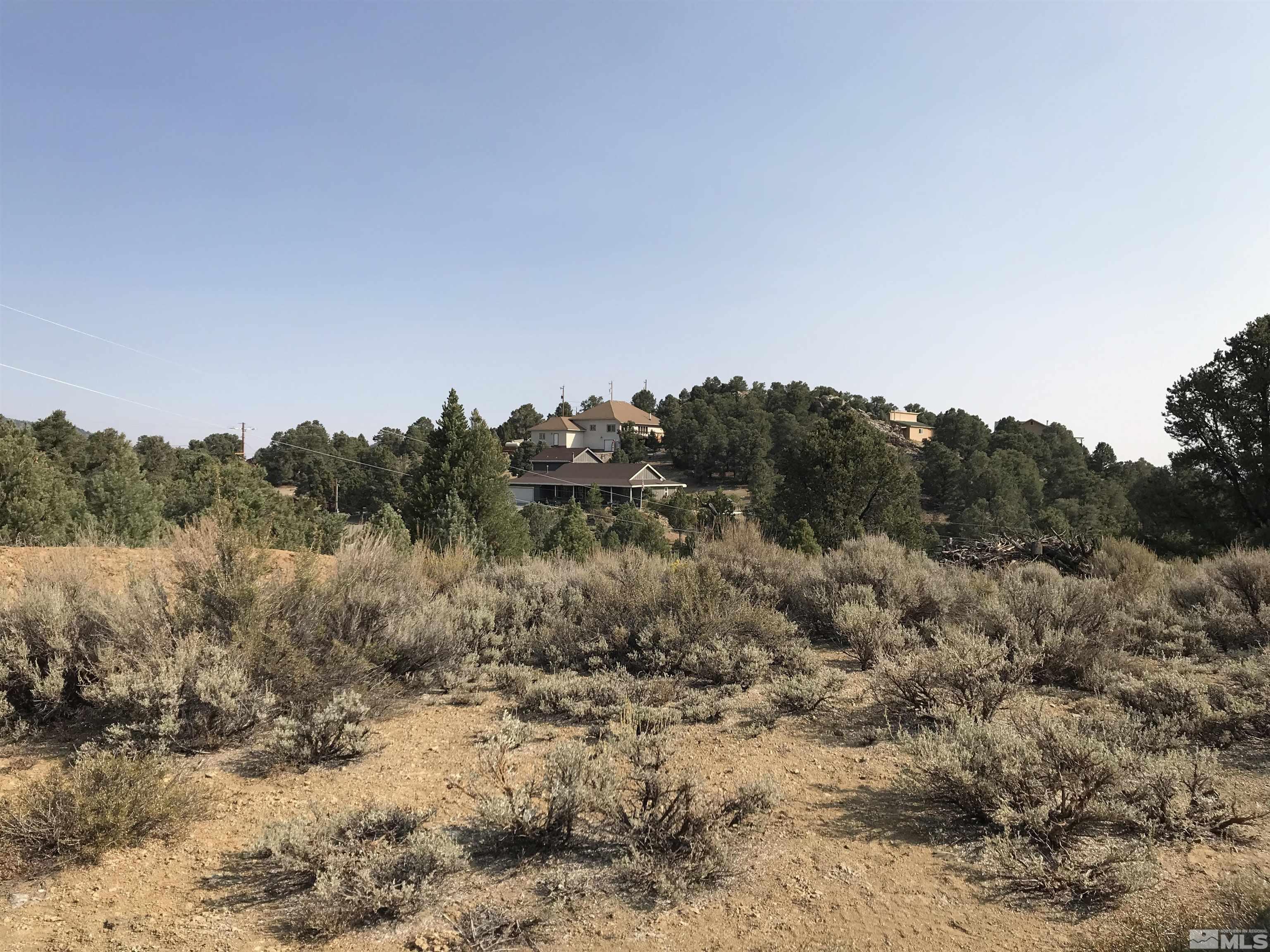 21435 Sazarac Road, Unit 263 Reno, NV 89521 - Photo 4 of 6 a view of a dry yard with trees in the background