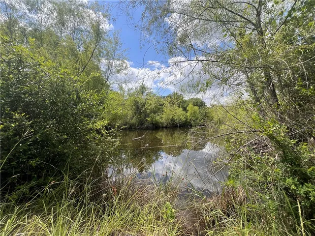 a view of a lake in middle of forest
