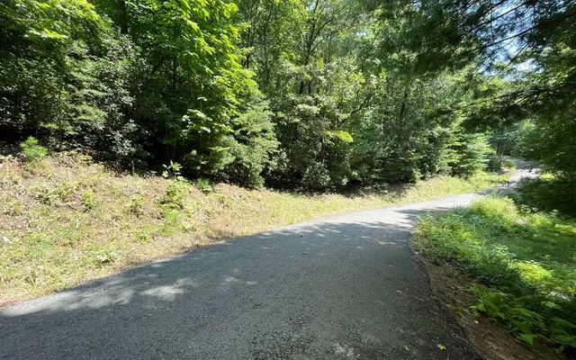 $25,000 | Lot 28 Shelton Springs Drive, Hayesville, NC 28904