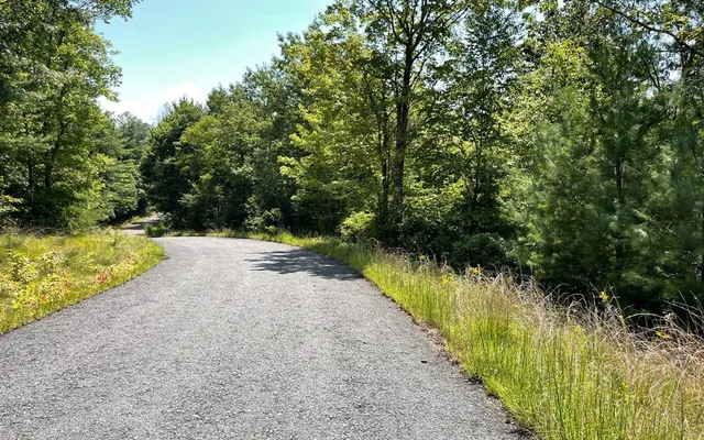 $25,000 | Lot 28 Shelton Springs Drive, Hayesville, NC 28904