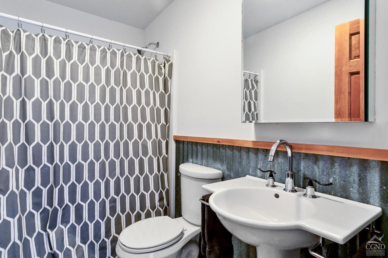 742 Embought Road Catskill, NY 12414 - Photo 22 of 32 a bathroom with a sink a toilet and mirror