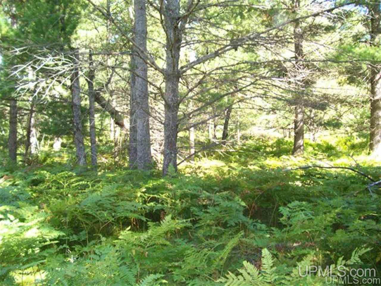 Tbd West Tbd W Merriman Road, Unit PARCEL 3 Iron Mountain, MI 49801 - Photo 3 of 4