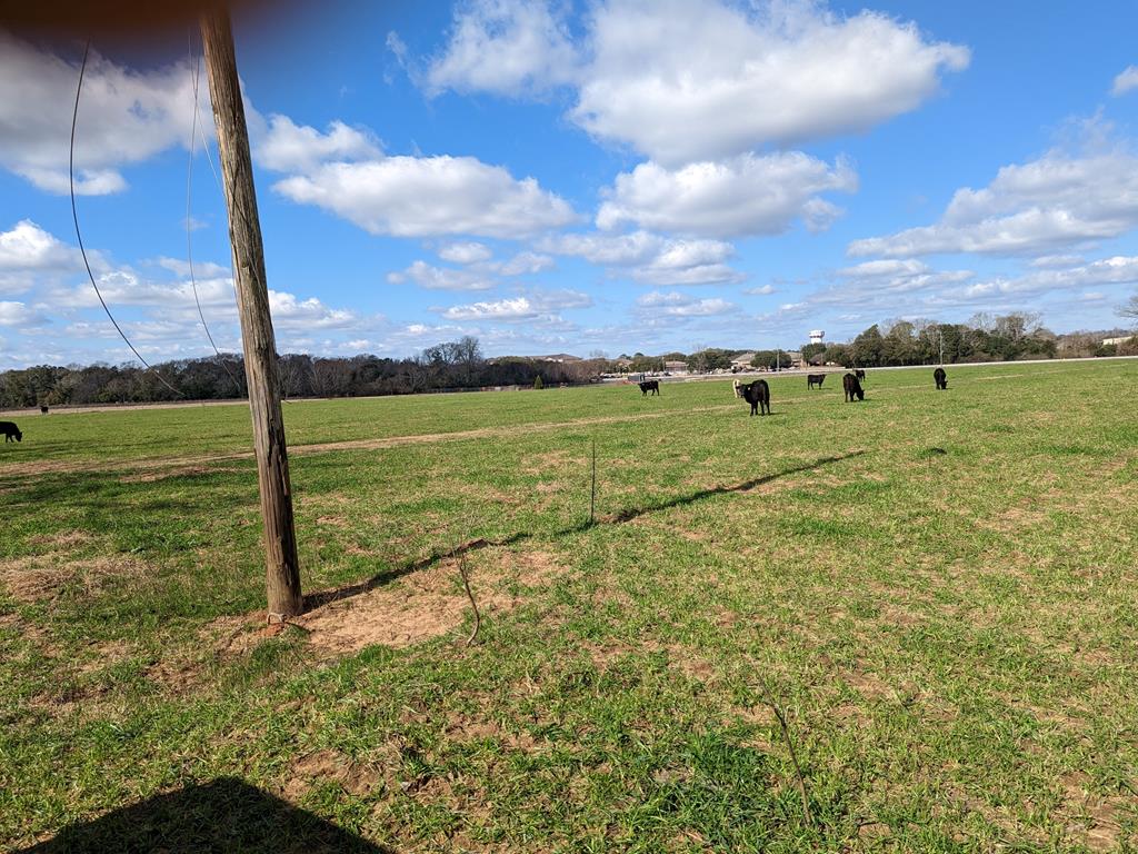 0 County Road 112 Dothan, AL 36303 - Photo 4 of 10