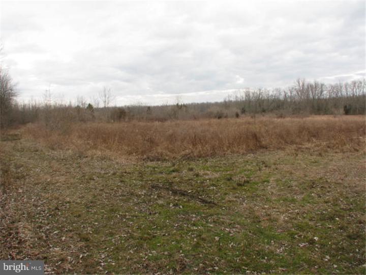 L:5 L:5 Pointville Road Joint Base Mdl, NJ 08640 - Photo 5 of 8