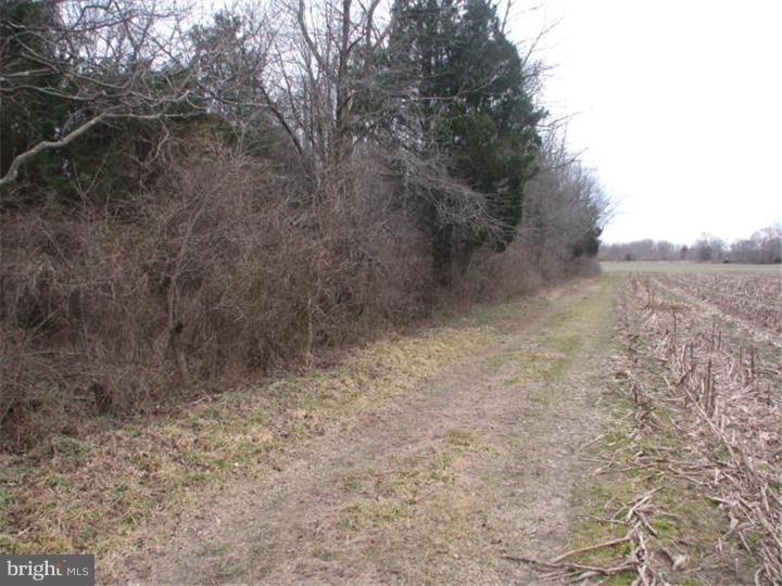 L:5 L:5 Pointville Road Joint Base Mdl, NJ 08640 - Photo 6 of 8