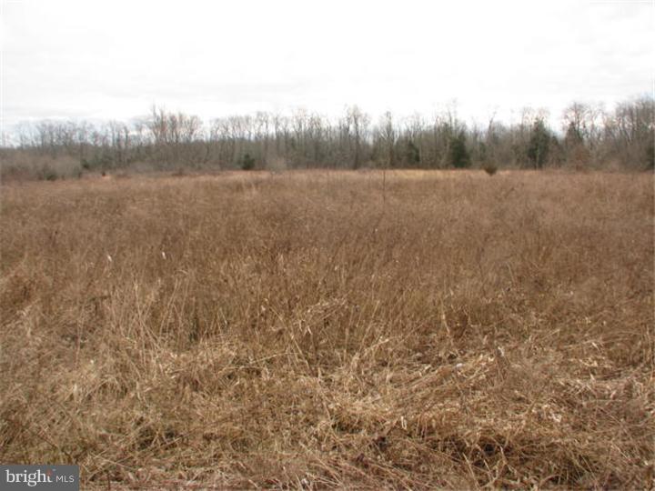 L:5 L:5 Pointville Road Joint Base Mdl, NJ 08640 - Photo 7 of 8